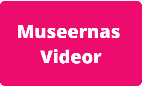 Museernas videor