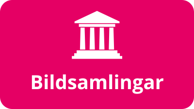 Museers bildsamlingar