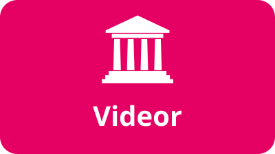 Museers videor